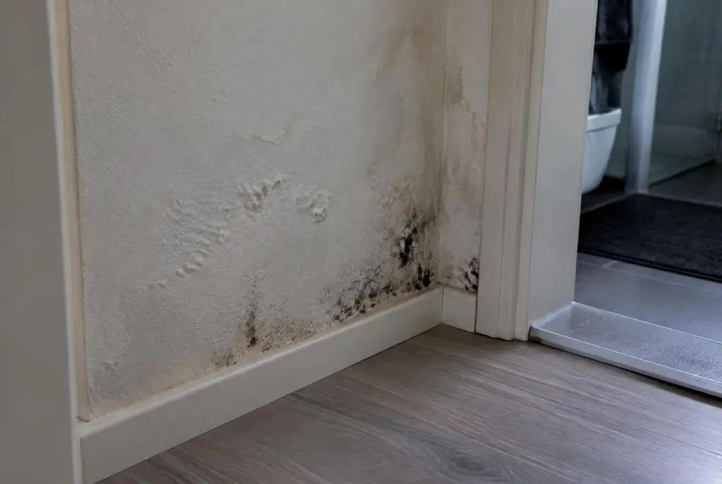 Lekdetectie Emmeloord – vochtplek met schimmel op een muur